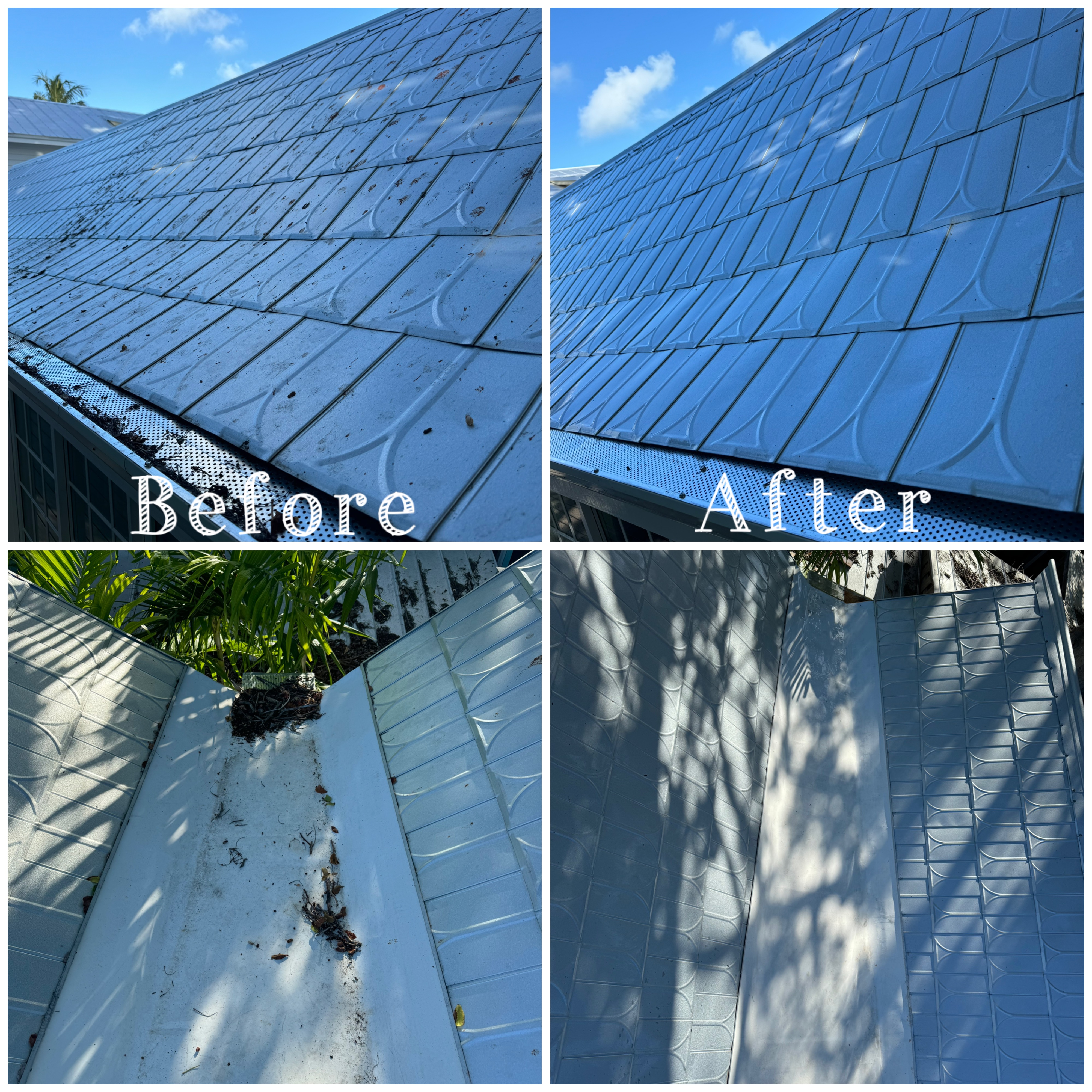 Premium Roof Soft Wash Thumbnail